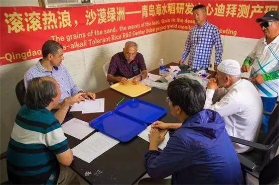 袁隆平團隊在迪拜沙漠種出水稻，這一次，中國輸出的是技術(shù)!