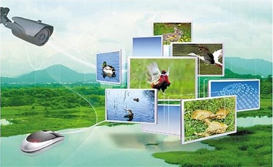我國智慧農(nóng)業(yè)發(fā)展困境及應(yīng)對(duì)策略